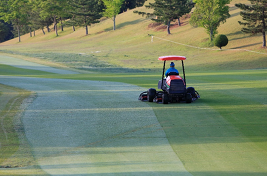 芝生手入れ