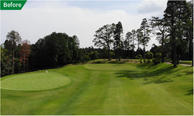 セイントナインビフォー