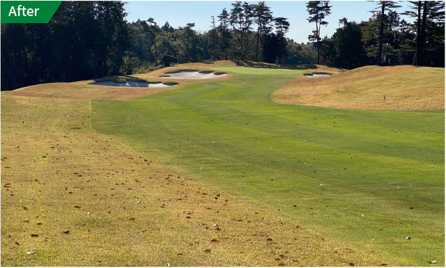 セイントナインアフター